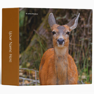 Classeur Funny Young Blacktail Deer sourit à un photographe
