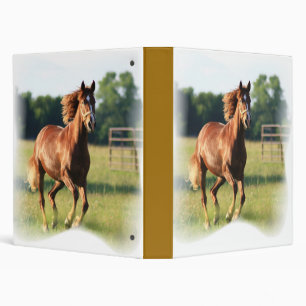 Classeur galopant de cheval