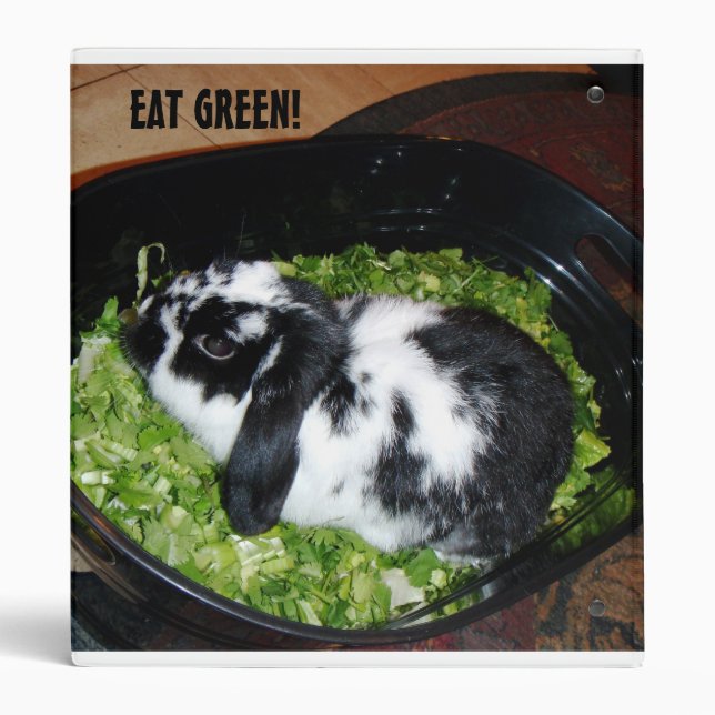 Classeur Gardien de recette (Dos)