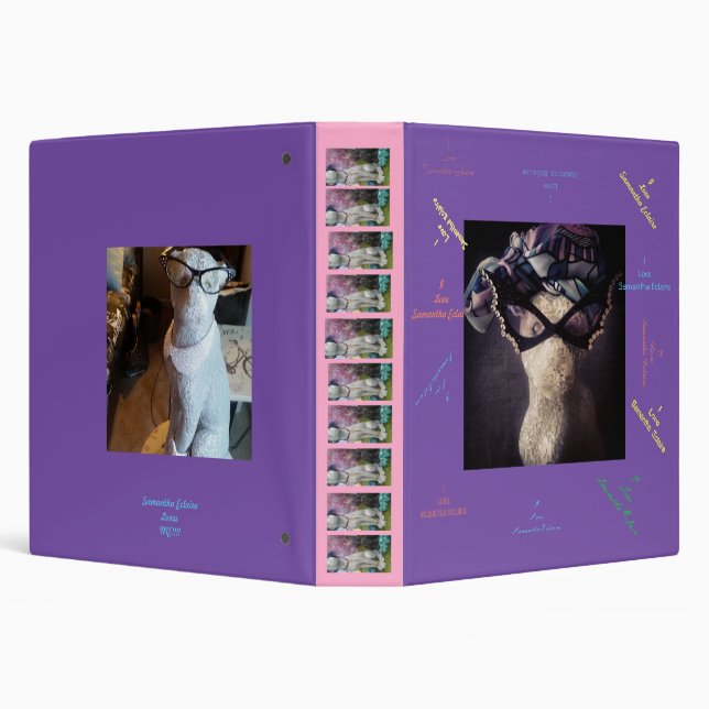 Classeur Gardien de trappeur de Samantha Eclaire (Arrière-plan)