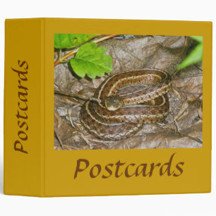 Classeur Garter Snake