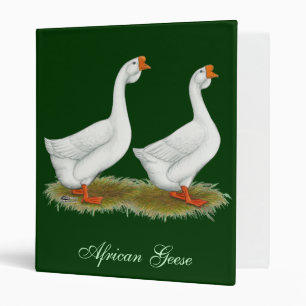 Classeur Geese de l'Afrique blanche