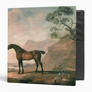 Classeur George Stubbs Scapeflood