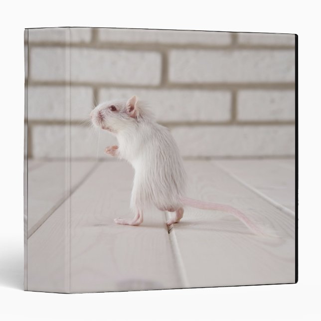 Classeur Gerbil debout (Devant/Côté)