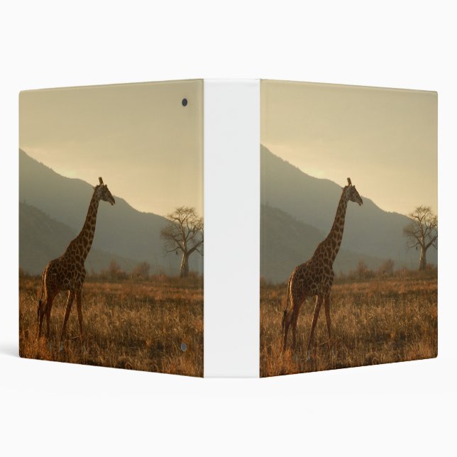 Classeur Giraffe dans la Savannah (Arrière-plan)