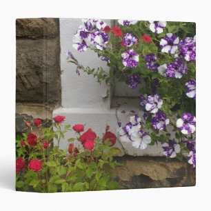 Classeur Gîte écossais avec pétunias et rose