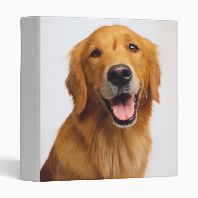 Classeur Golden Retriever Smile (Devant/Côté)