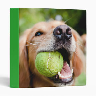 Classeur Golden Retriever With Tennis