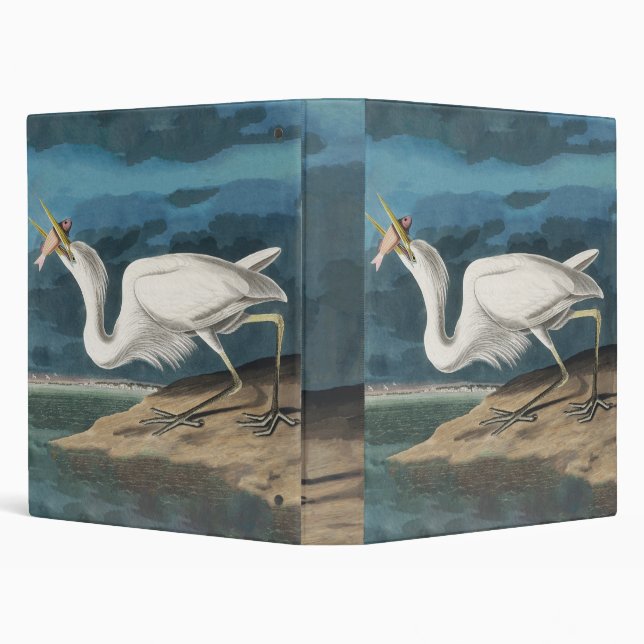 Classeur Grande Peinture de la faune d'Audubon Heron blanc (Arrière-plan)