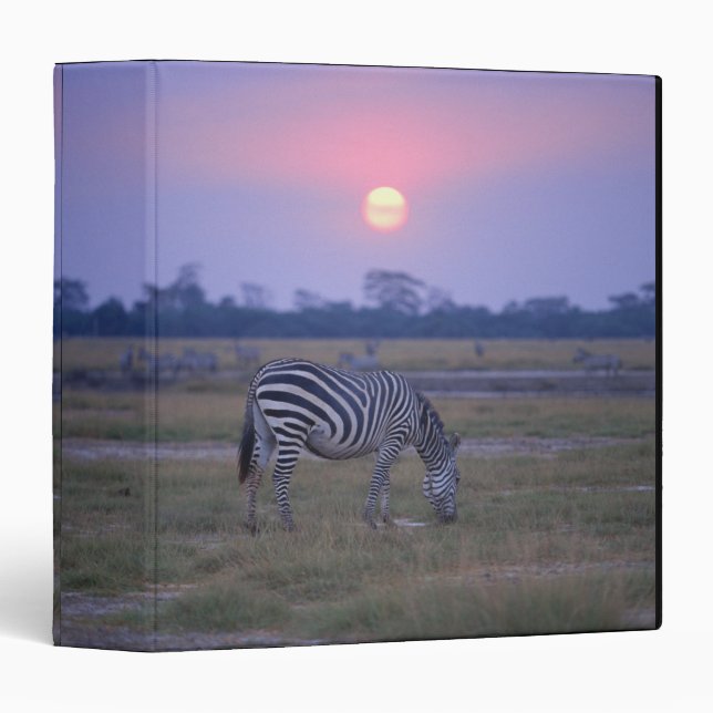 Classeur Grant Zebra 3 (Devant/Côté)