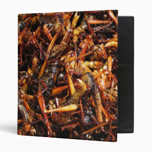 Classeur Grasshopper frit (Takkataen Thot) Alimentation asi