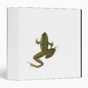 Classeur Grenouille 2
