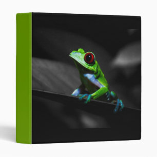 Classeur Grenouille d'arbre observée par rouge III