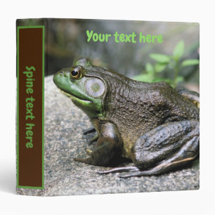 Classeur Grenouille taureau assise sur un rocher personnali