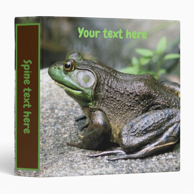 Classeur Grenouille taureau assise sur un rocher personnali (Devant/Côté)
