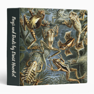 Classeur Grenouilles et crapauds vintage Batrachia par Erns