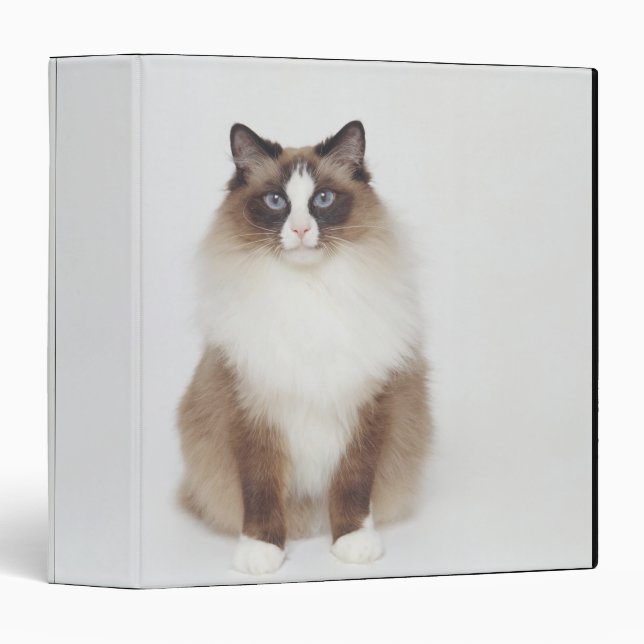 Classeur Gros chat Furry (Devant/Côté)