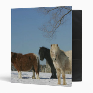 Classeur Groupe de chevaux miniatures dans la neige