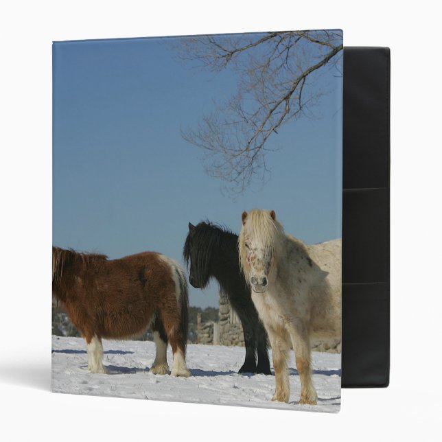 Classeur Groupe de chevaux miniatures dans la neige (Devant/intérieur)