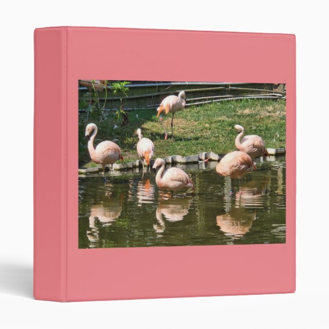 CLASSEUR ***GROUPE DE FLAMANTS ROSES ROSES*** ALBUM PHOTO S (Devant/Côté)