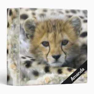 Classeur Guépard CUB