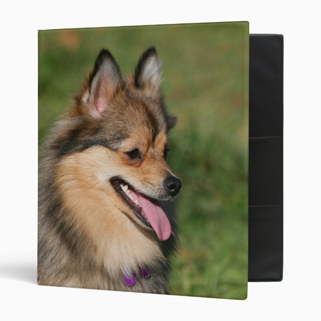 Classeur Halètement de Headshot de Pomeranian (Devant/intérieur)