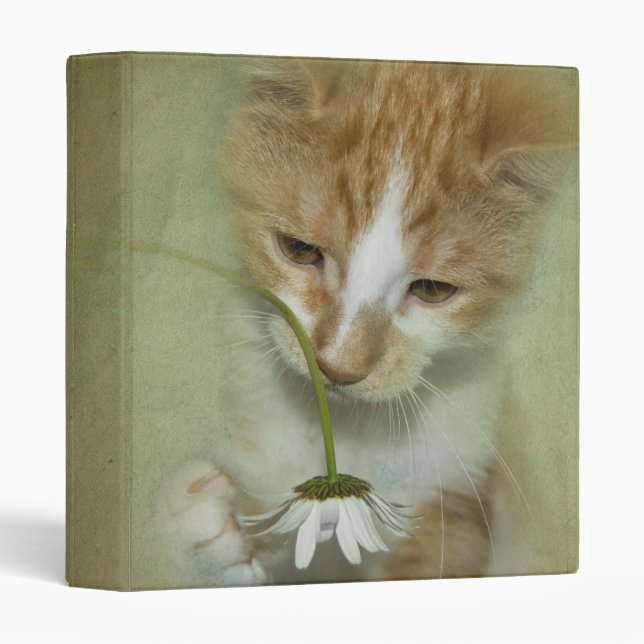 Classeur Happy Cat (Devant/Côté)