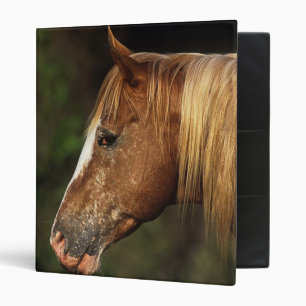 Classeur Headshot 1 de cheval d'Appaloosa