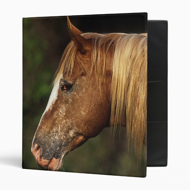 Classeur Headshot 1 de cheval d'Appaloosa (Devant/intérieur)