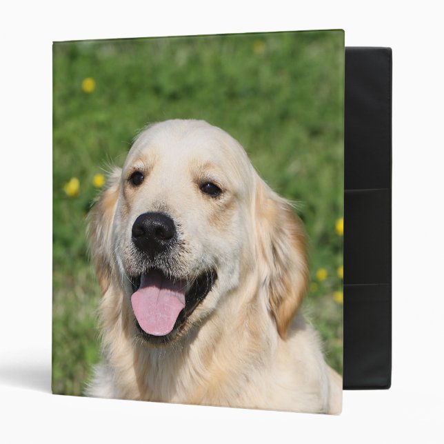 Classeur Headshot 1 de golden retriever (Devant/intérieur)