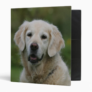 Classeur Headshot 2 de golden retriever