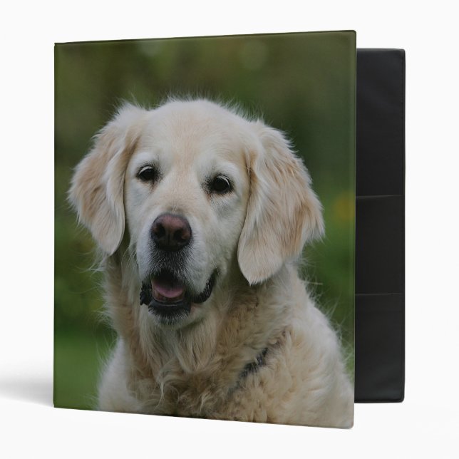 Classeur Headshot 2 de golden retriever (Devant/intérieur)