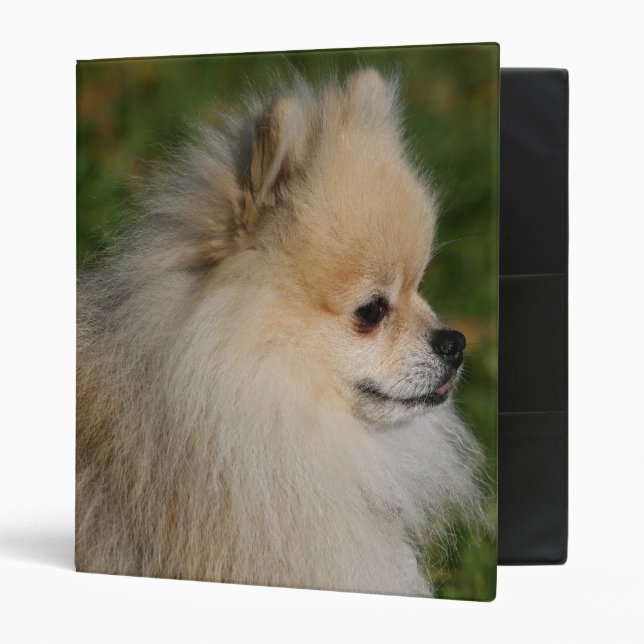 Classeur Headshot 2 de Pomeranian (Devant/intérieur)