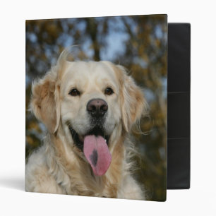 Classeur Headshot 3 de golden retriever