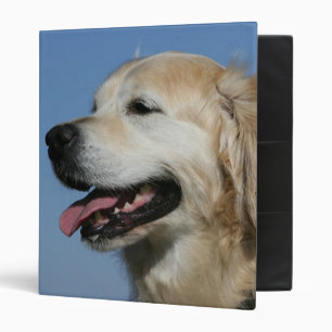 Classeur Headshot 4 de golden retriever