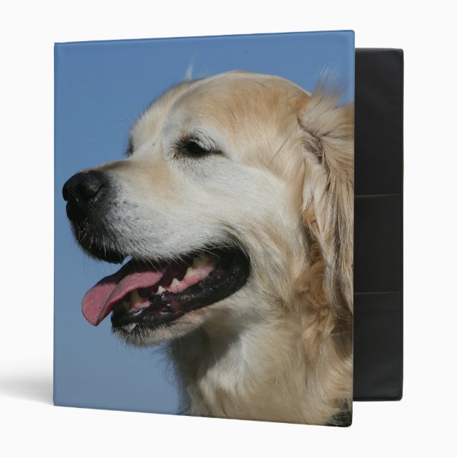 Classeur Headshot 4 de golden retriever (Devant/intérieur)