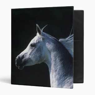 Classeur Headshot arabe 2 de cheval