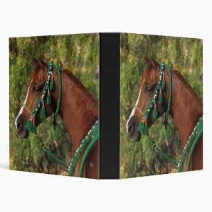 Classeur Headshot arabe de cheval avec le frein