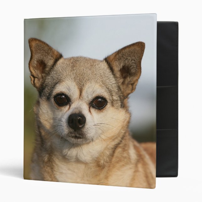Classeur Headshot de chiwawa (Devant/intérieur)