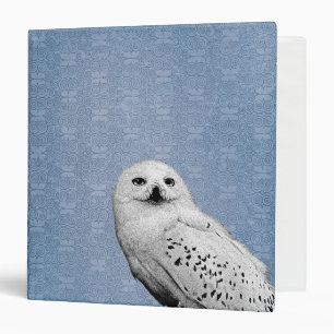 Classeur Hedwig 2