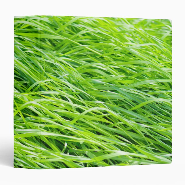 Classeur Herbe (Devant/Côté)