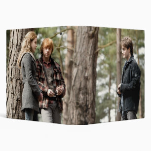 Classeur Hermione, Ron et Harry 2