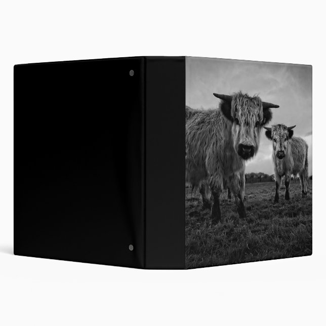 Classeur High Park Cow Mono (Arrière-plan)