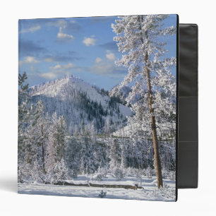 Classeur Hiver dans le parc national de Yellowstone, Wyomin