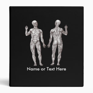 Classeur Hommes de muscle - anatomie du système musculaire