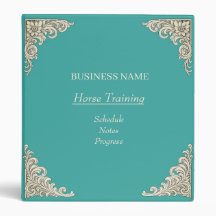 Horse Trainer Riding Lessons 