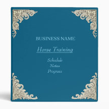 Horse Trainer Riding Lessons 