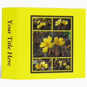 Classeur Houseplant à fleurs jaunes d'Oxalis