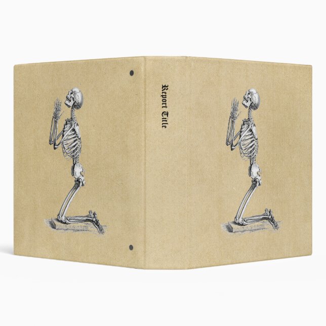 Classeur Illustration de l'anatomie du squelette (Arrière-plan)