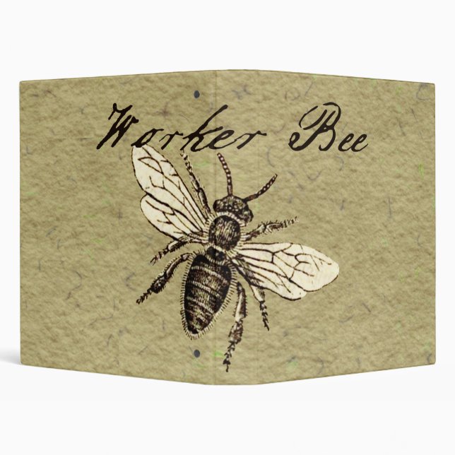 Classeur Illustration de l'insecte d'abeille vintage (Arrière-plan)